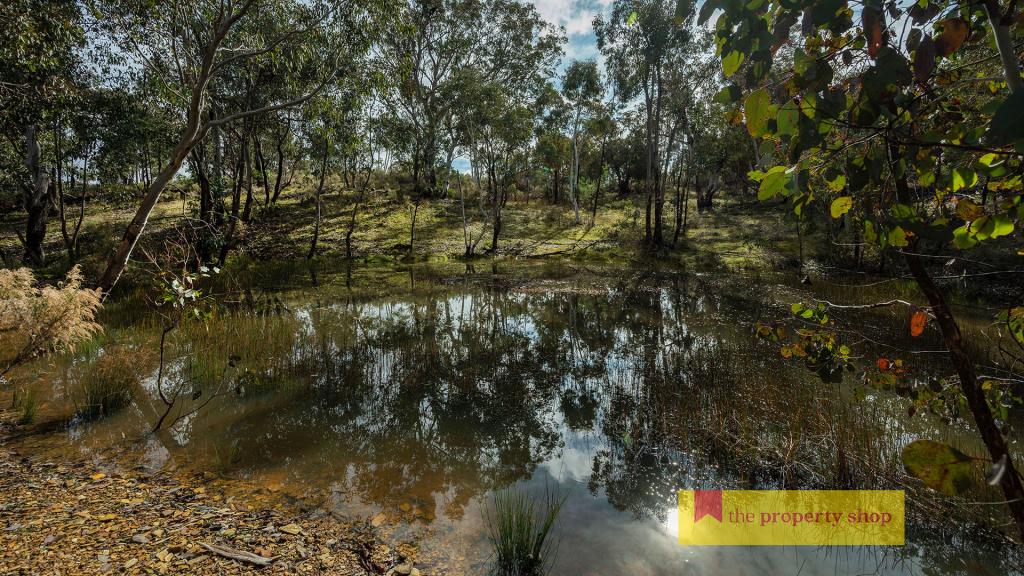 3361 Hill End Rd, Mudgee, NSW 2850