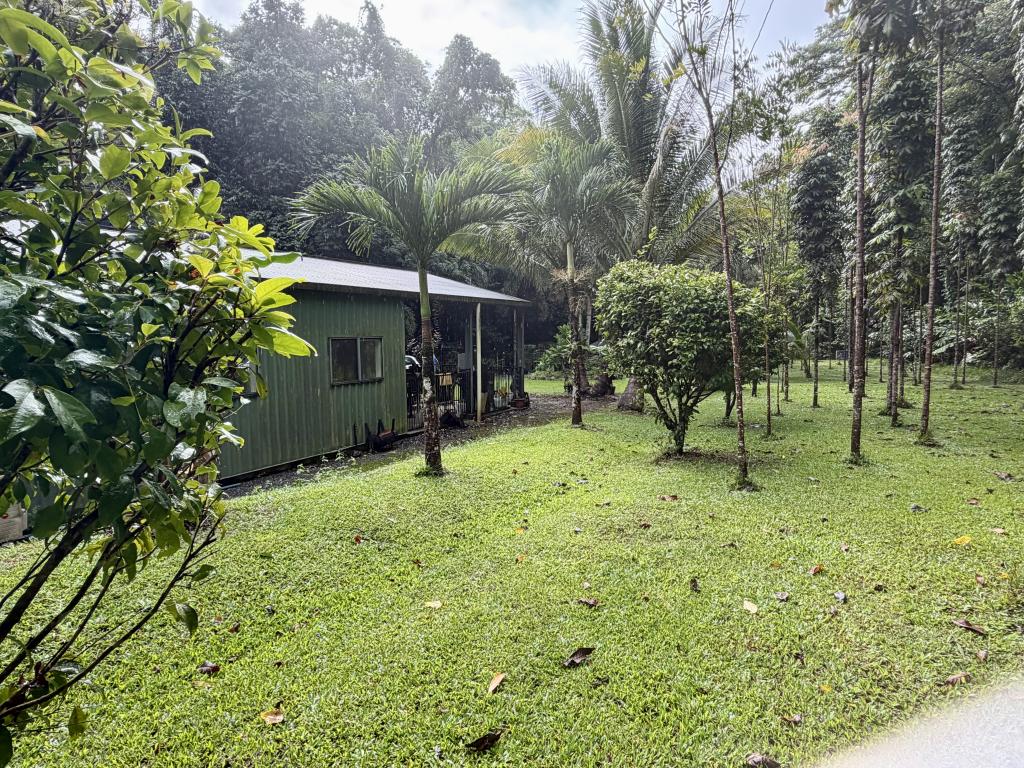 116 Hickory Road, Cow Bay, Daintree, QLD 4873
