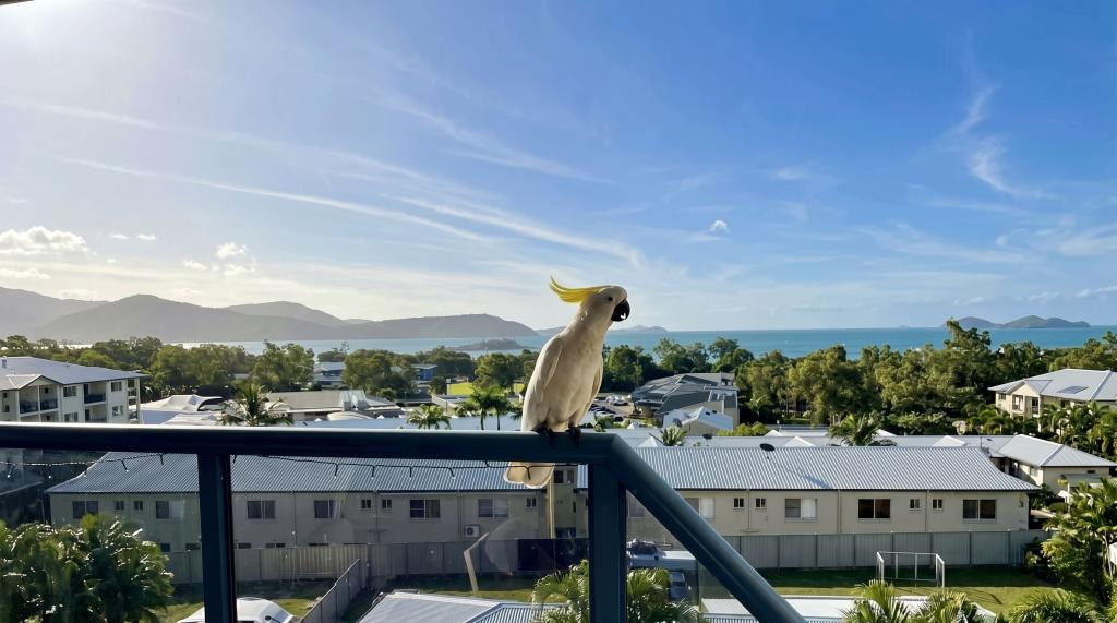 30/6 Eshelby Dr, Cannonvale, QLD 4802