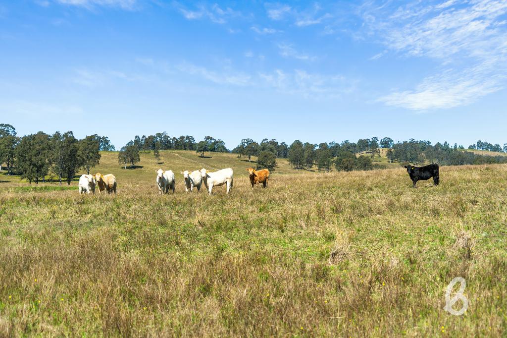 Lot 131 Manresa Park Rd, Glendon Brook, NSW 2330