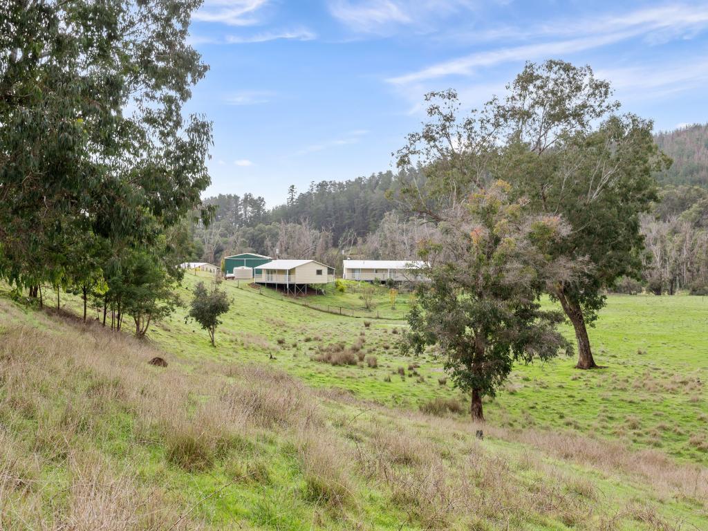 1192 Balingup-Nannup Rd, Southampton, WA 6253
