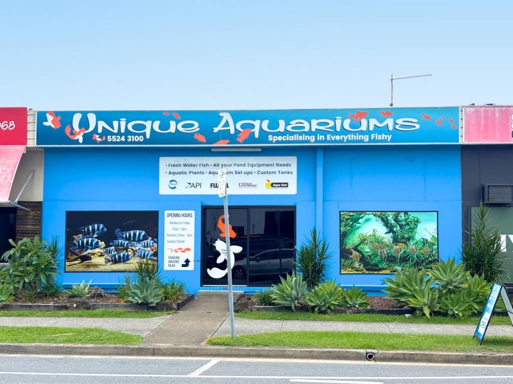 3/12 Machinery Dr, Tweed Heads South, NSW 2486