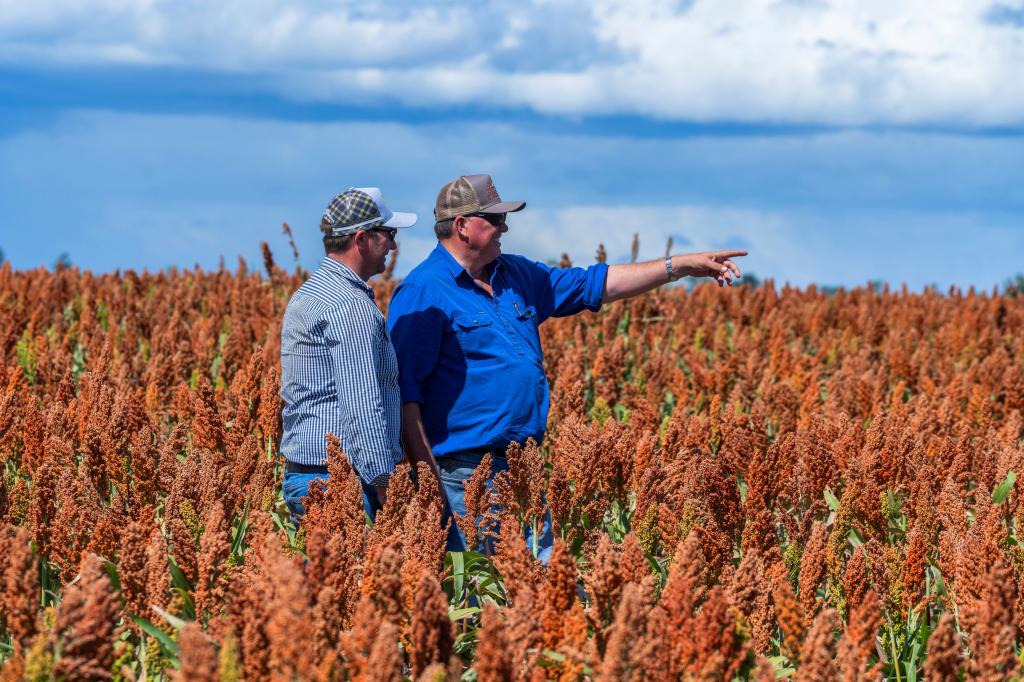 1989 Millmerran Leyburn Rd, Tummaville, QLD 4352