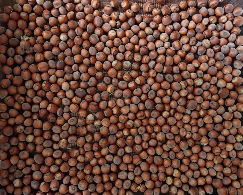 81 Craven Plateau Rd, Bowman, NSW 2422