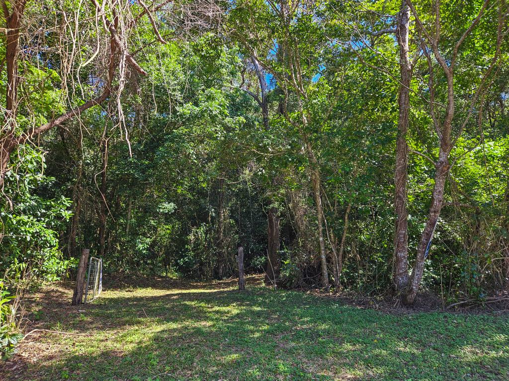 72 Mulligan Hwy, Cooktown, QLD 4895