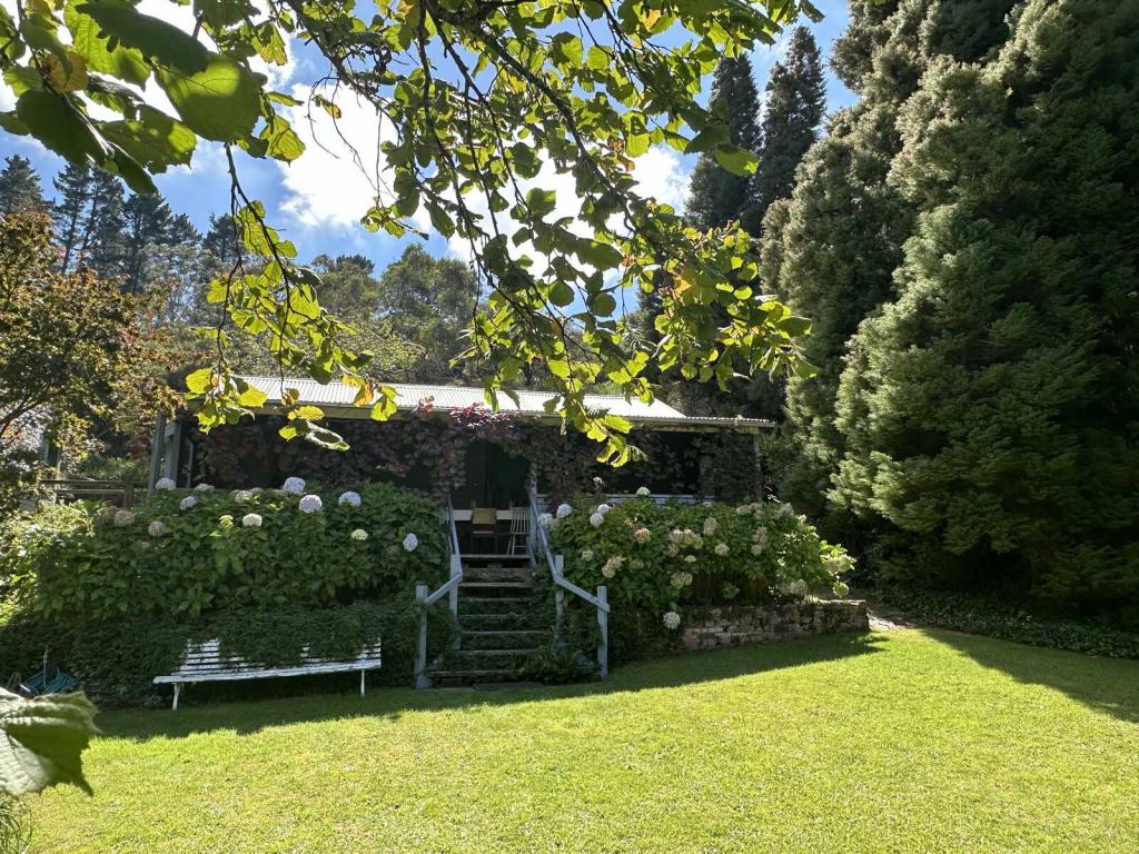 1A MINYAGO ST, BLACKHEATH, NSW 2785