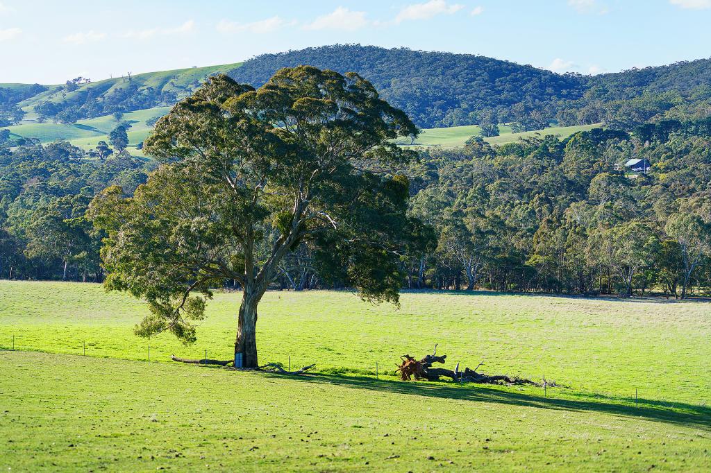 Lot 63 Rhymney Rd, Norval, VIC 3377