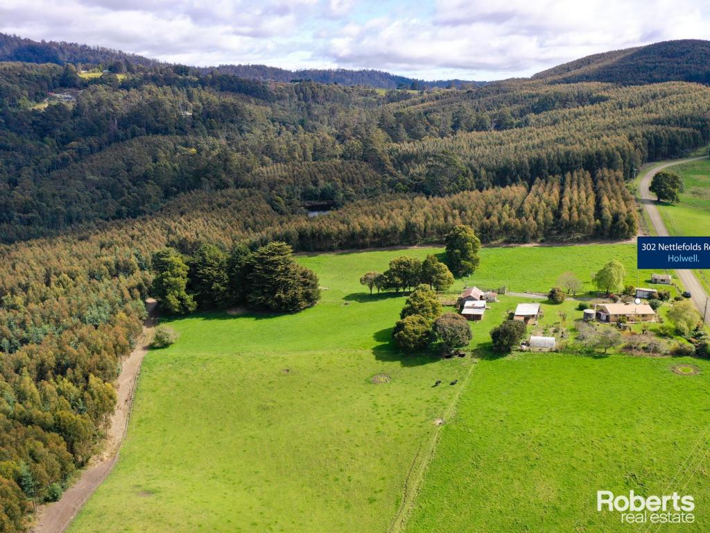 302 Nettlefolds Rd, Holwell, TAS 7275