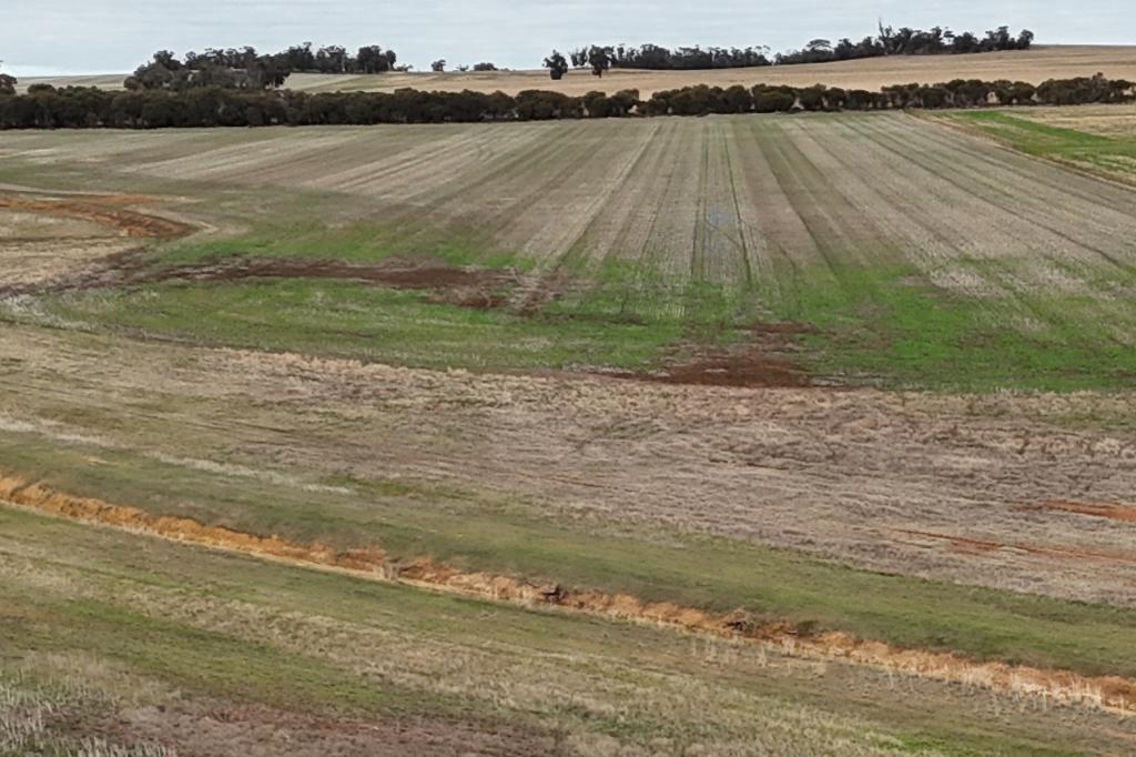 Lot 7138 Robinson Rd, Woodanilling, WA 6316