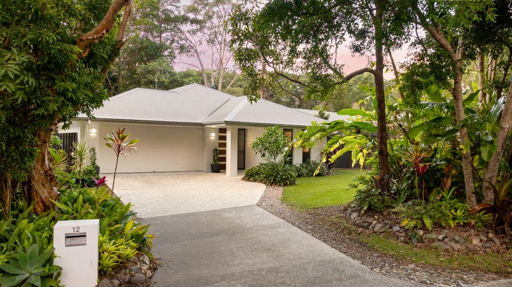 12 JACKSONIA PL, NOOSAVILLE, QLD 4566