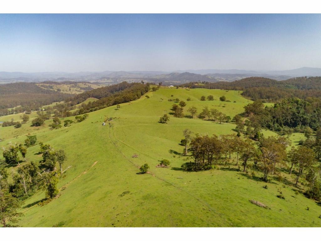 185 Sawyers Creek Rd, Willina, NSW 2423