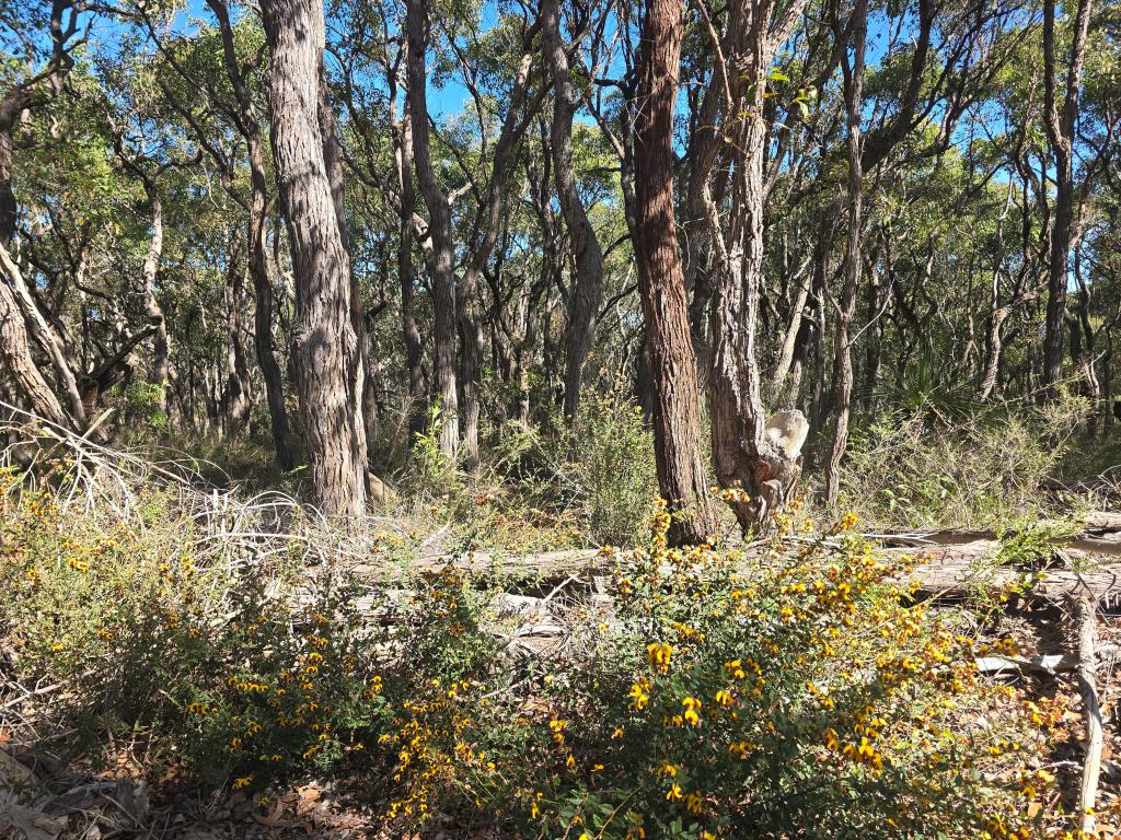 Lot 30/3 Dufty Pl, Mount Barker, WA 6324