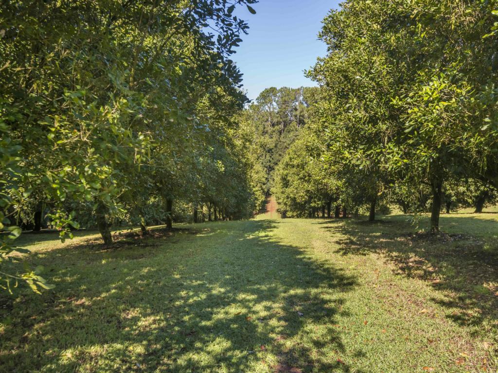 710 Cowlong Rd, Eltham, NSW 2480