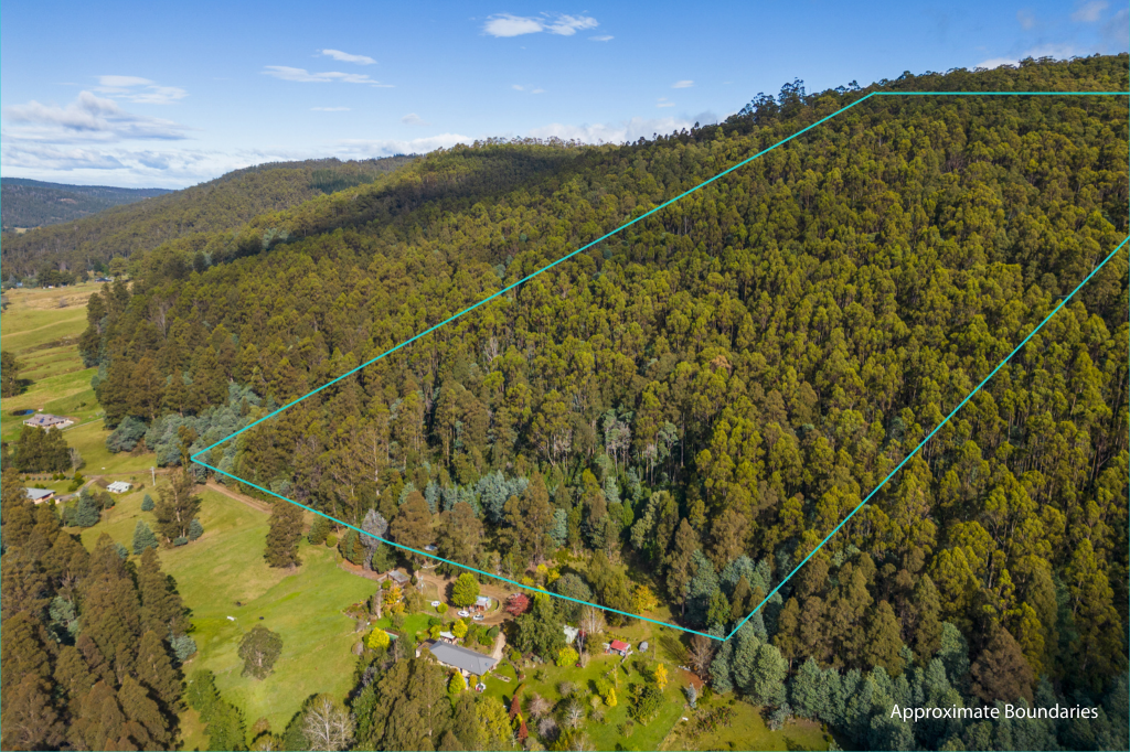Lot 1 Smiths Rd, Nicholls Rivulet, TAS 7112