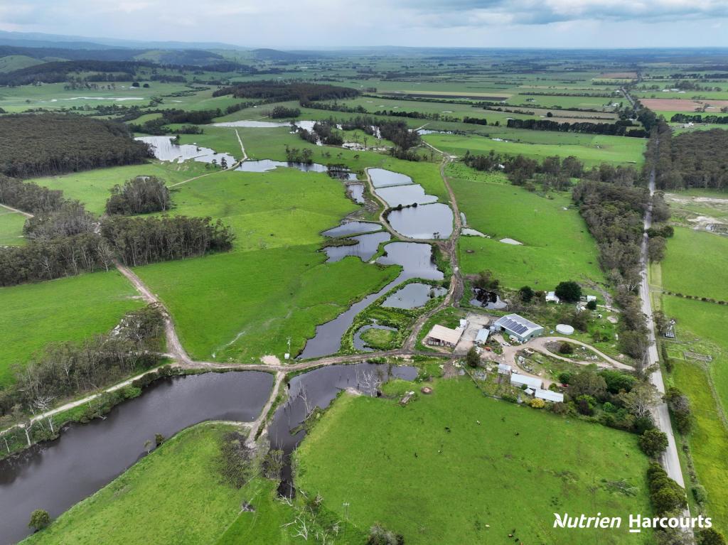 656 Tap Tap Road Staceys Bridge And Harraps Road,, Binginwarri, VIC 3966