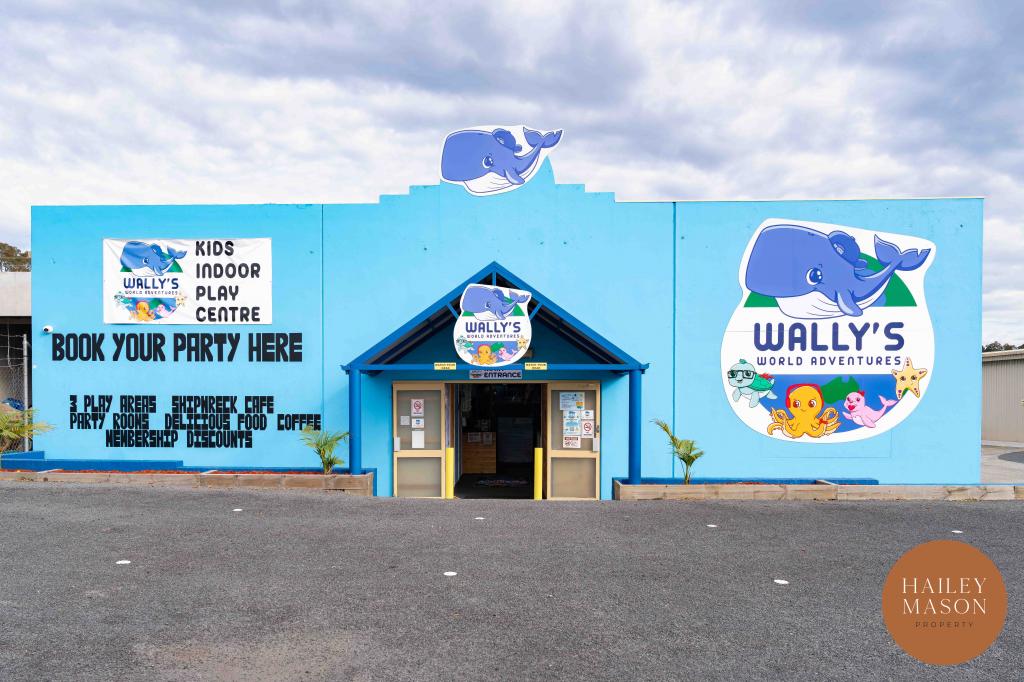 3 & 4/207 PRINCES HWY, SOUTH NOWRA, NSW 2541