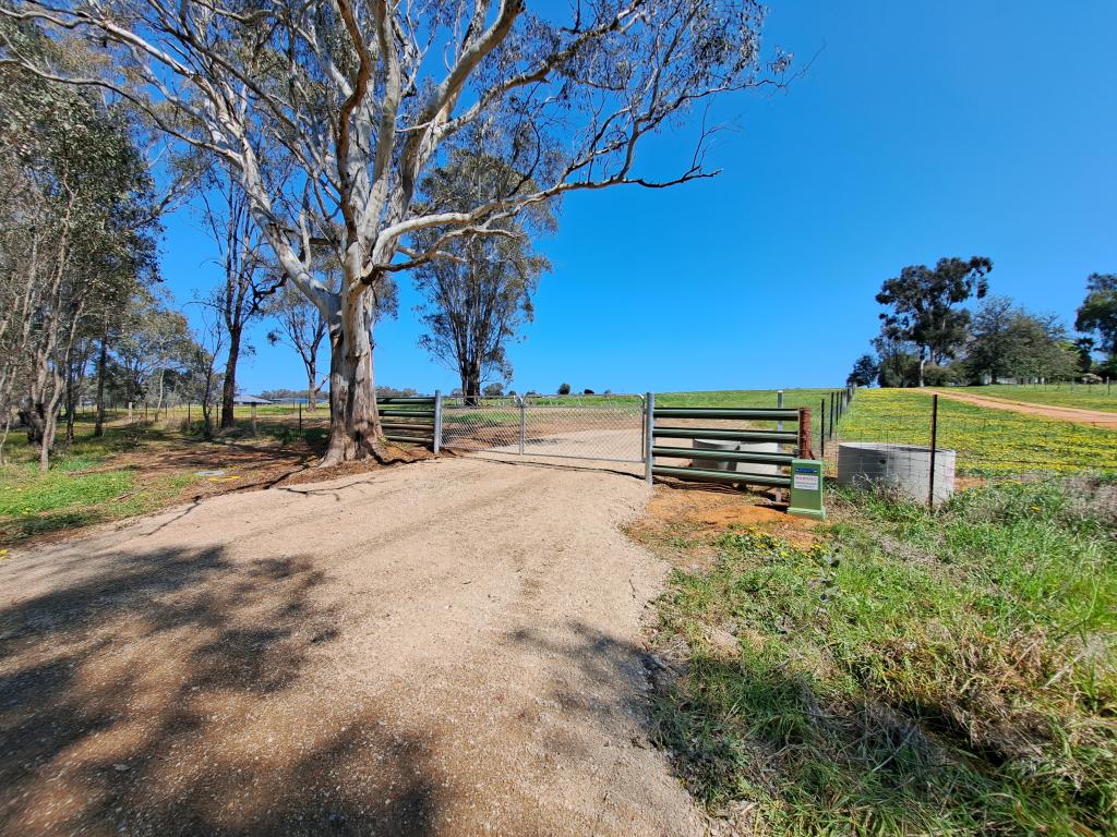 15 Edward St, Gerogery, NSW 2642