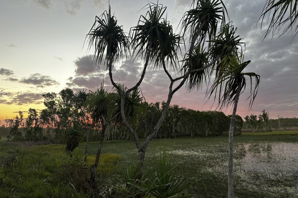 Contact Agent For Address, Darwin River, NT 0841