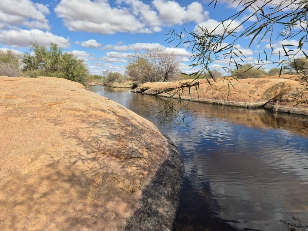 Jingemarra Station, North Rd, Yalgoo, WA 6635