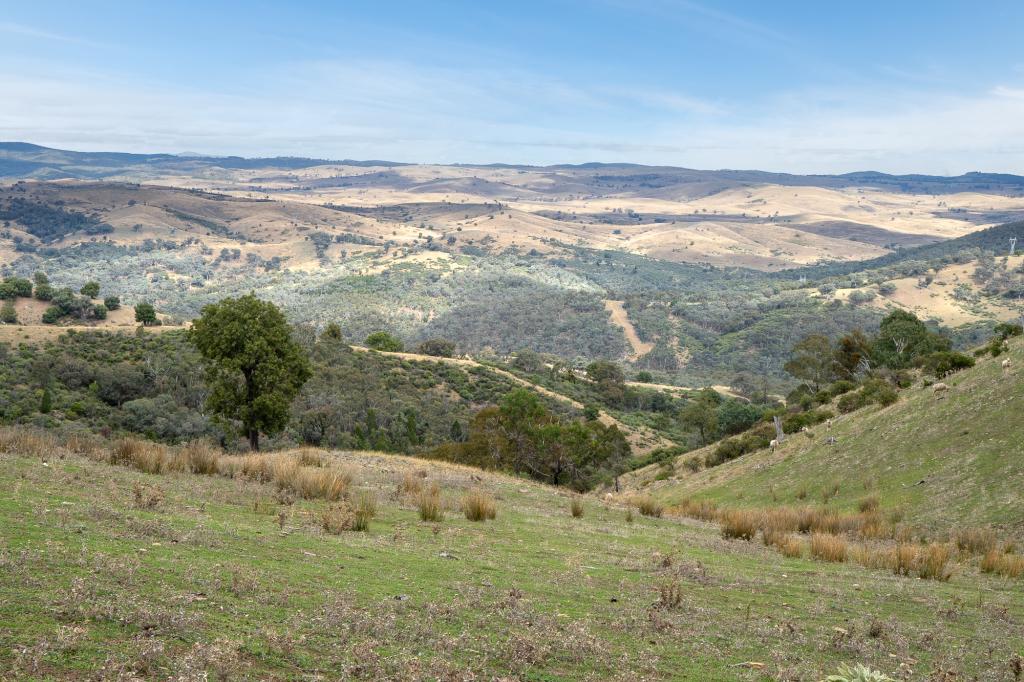 1257 Bundalah Rd, Euchareena, NSW 2866