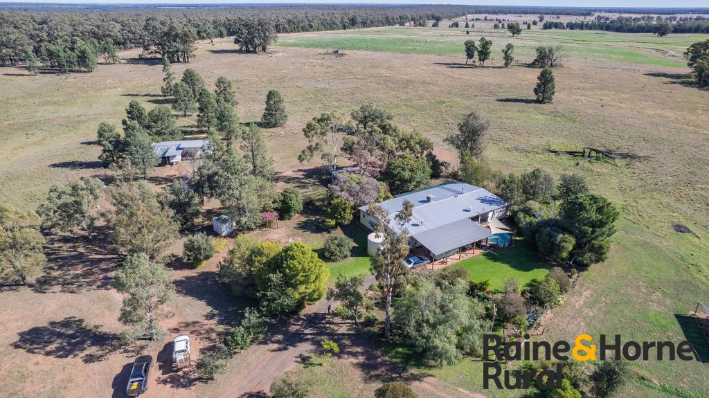 1186 Newell Hwy, Gilgandra, NSW 2827