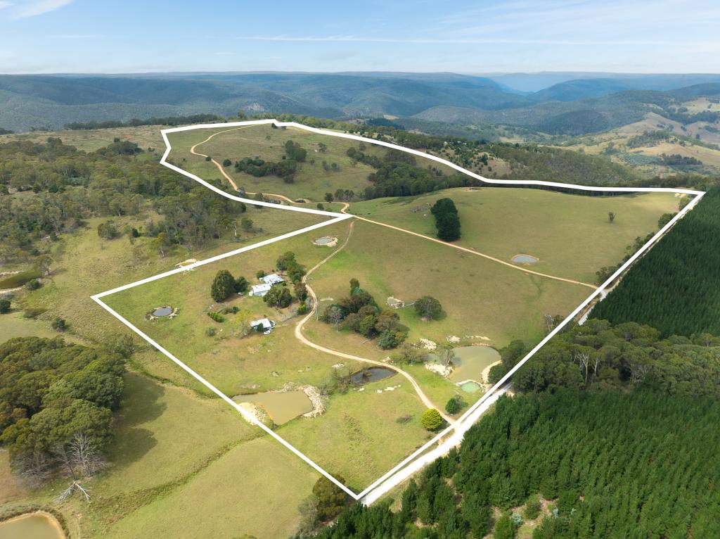 251 Sheepstation Forest Rd, Gingkin, NSW 2787