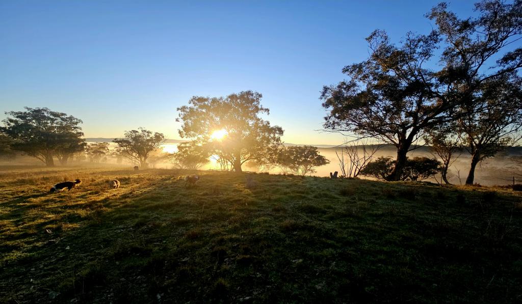 242 Fashions Mount Road Mumbil Via, Wellington, NSW 2820