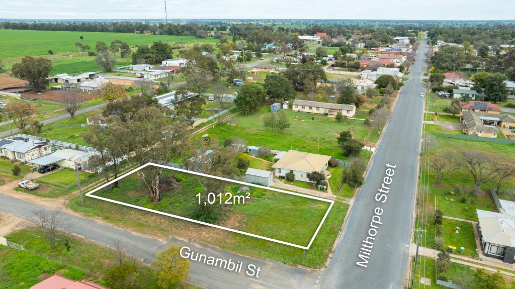 69 Milthorpe St, Oaklands, NSW 2646