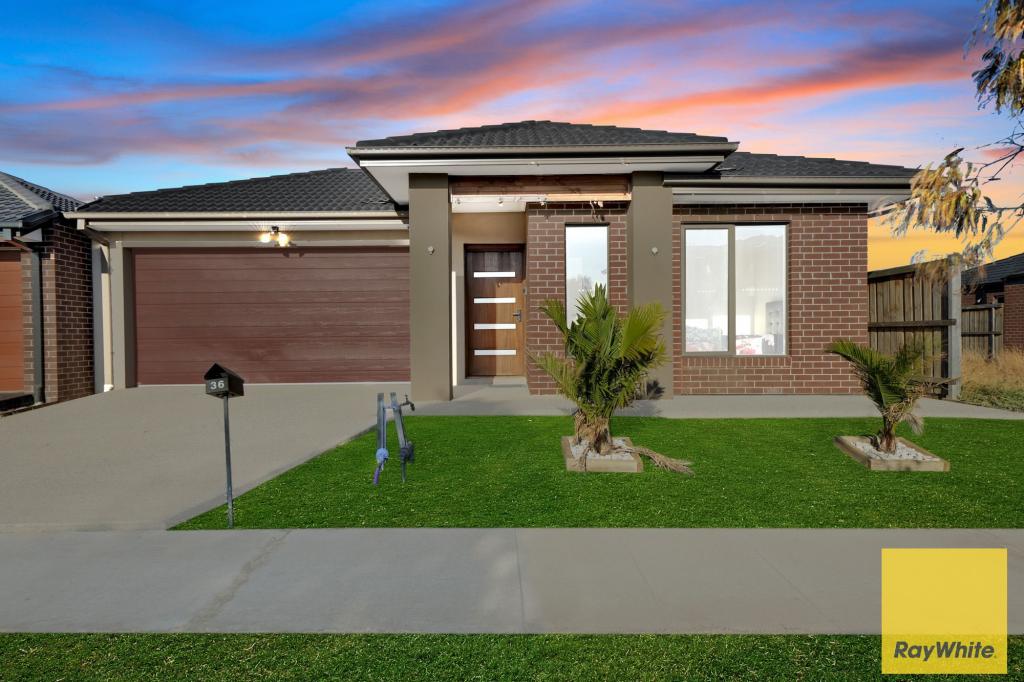 36 Seed Ave, Truganina, VIC 3029