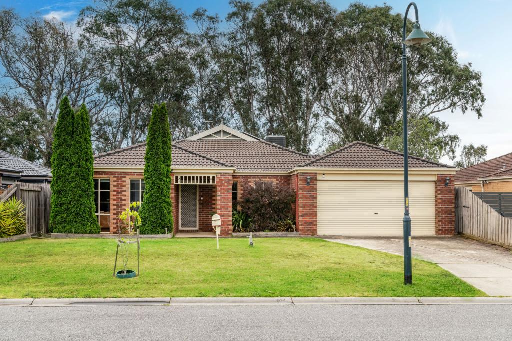 37 Balinga Dr, Skye, VIC 3977