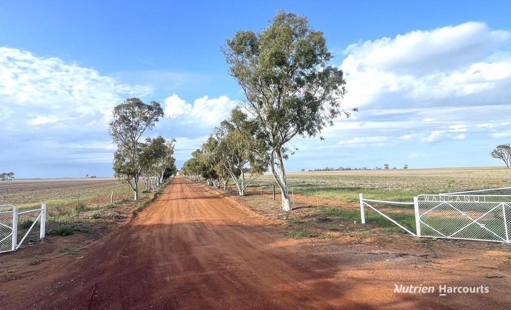 240 Corrigin-Narembeen Rd, Kurrenkutten, WA 6375