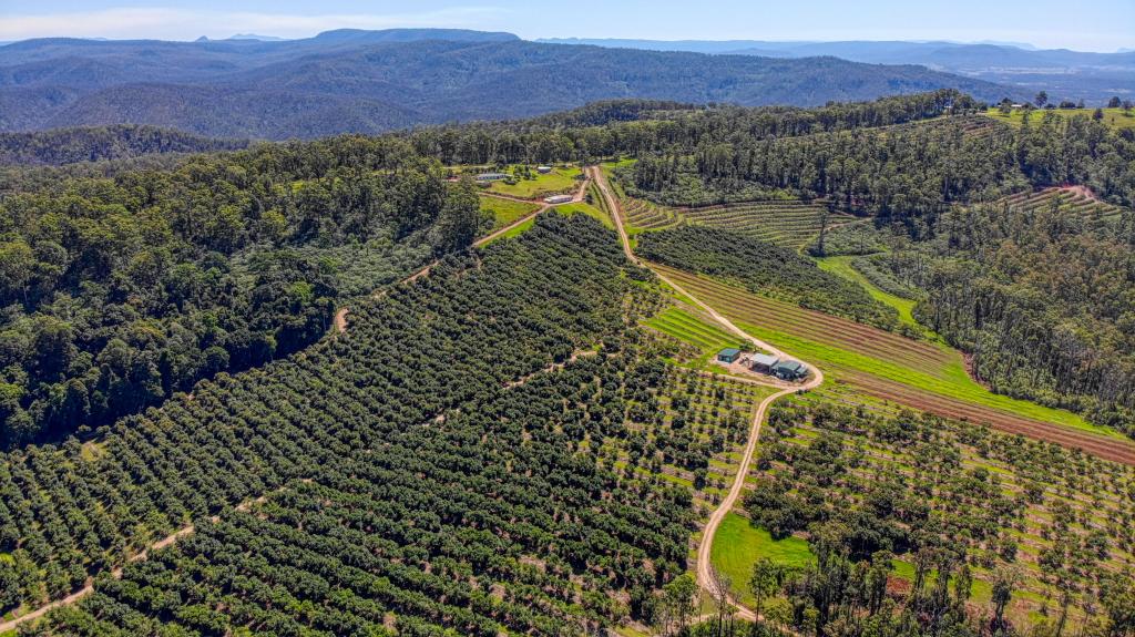 158 Crescent Hills Rd, Tabulam, NSW 2469