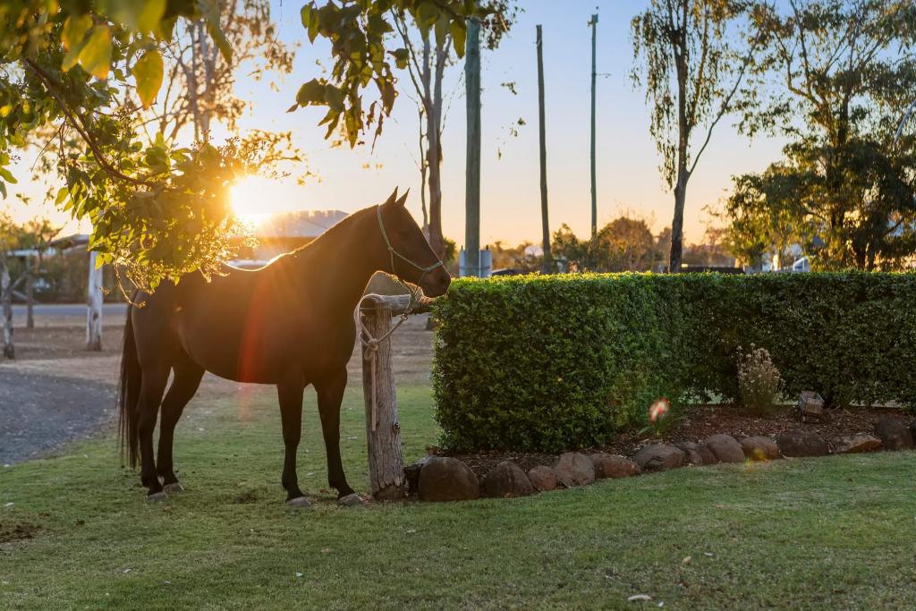 229 Branch Creek Rd, Dalby, QLD 4405