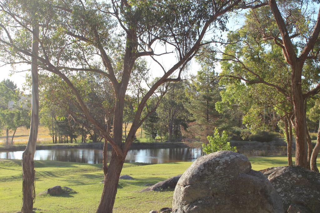 72 Old Caves Rd, Stanthorpe, QLD 4380