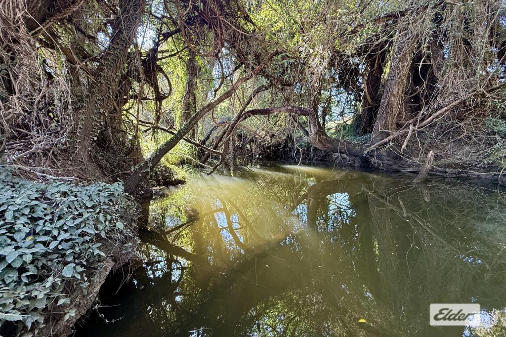 LOT 38 WODONGA DR, WIDGEE, QLD 4570