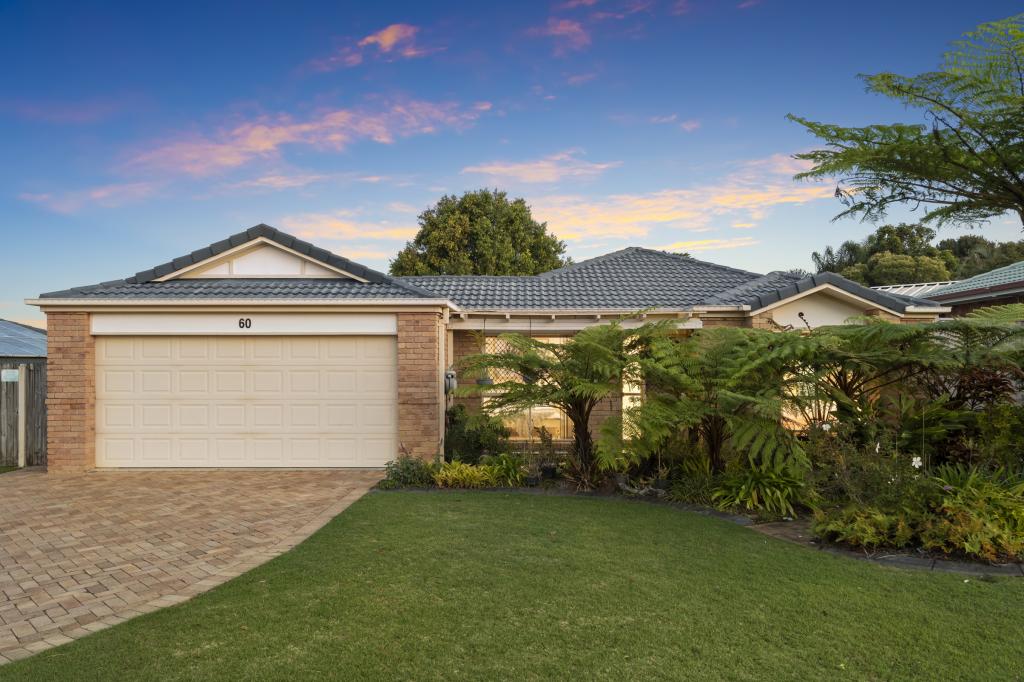 60 Dampier Cres, Drewvale, QLD 4116