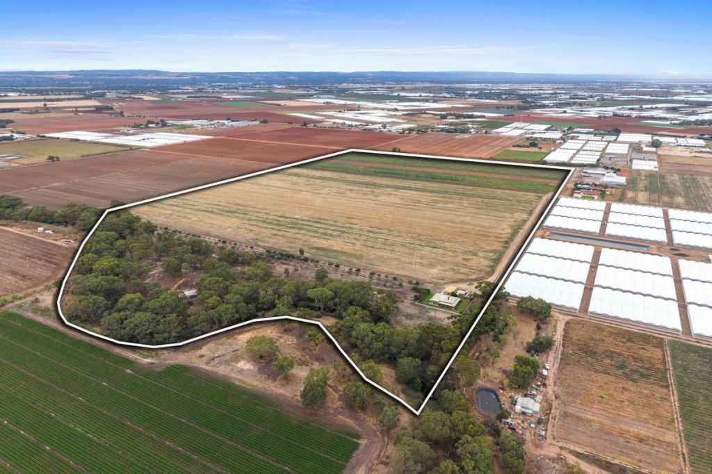 166 Robinson Rd, Virginia, SA 5120