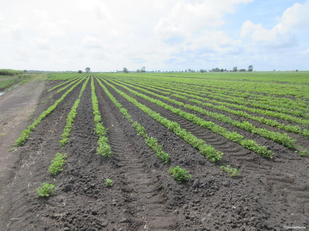 327 Moore Park Rd, Moore Park Beach, QLD 4670