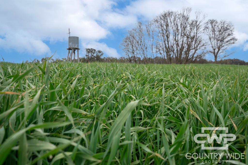 Lot Plain View/916 Emmaville Rd, Glen Innes, NSW 2370