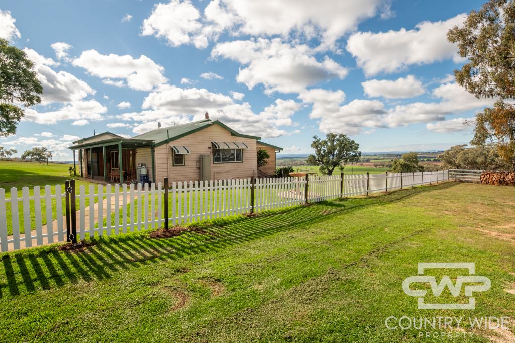 1036 Rob Roy Rd, Mount Russell, NSW 2360