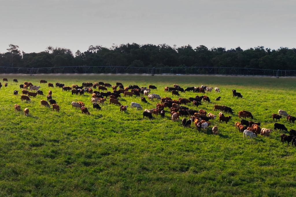 "Strathmore" Burra Burri Rd, Chahpingah, QLD 4610