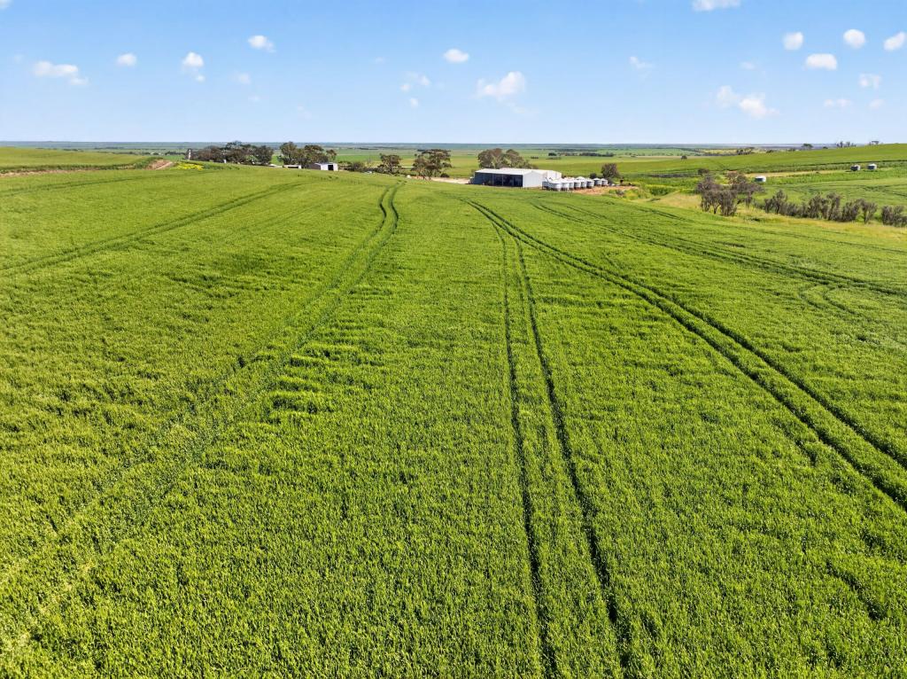 'Sharpes Well' Ireland Rd, Mundoora, SA 5555
