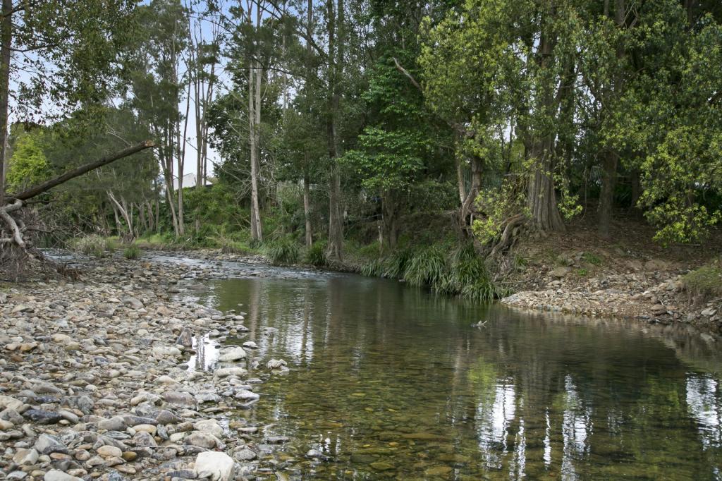 966 Tallebudgera Creek Rd, Tallebudgera Valley, QLD 4228