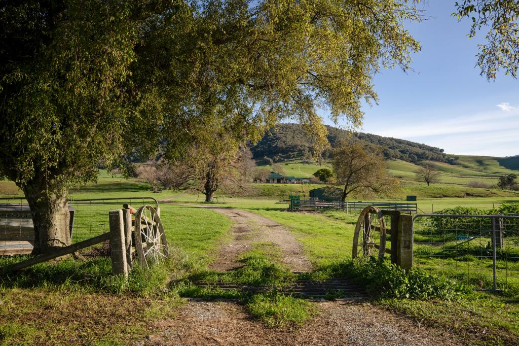 5494 Kiewa Valley Hwy, Running Creek, VIC 3691