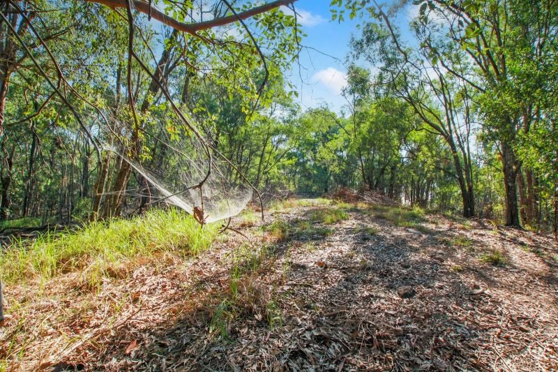 94 Holyrood Rd, Maudsland, QLD 4210