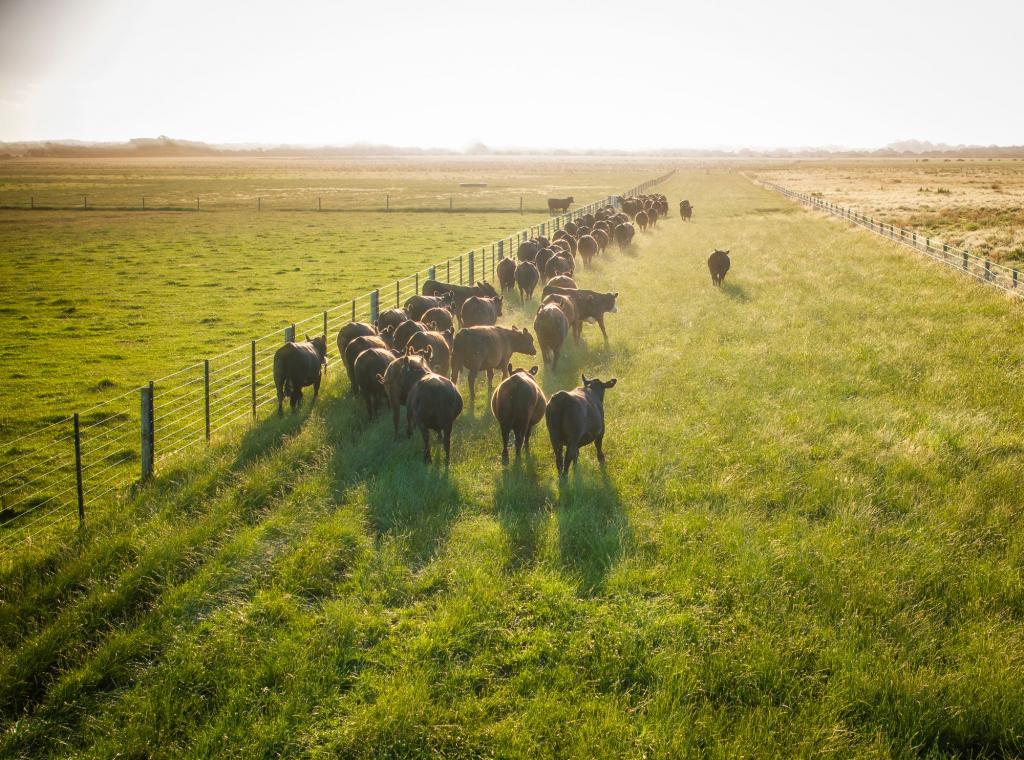 90 Mcrae Rd, Buffalo, VIC 3958