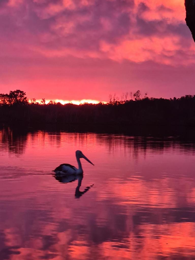 121 Green Point Dr, Green Point, NSW 2428