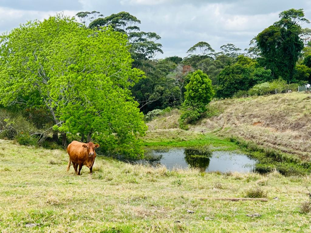 50 Horne Rd, Mount Mee, QLD 4521