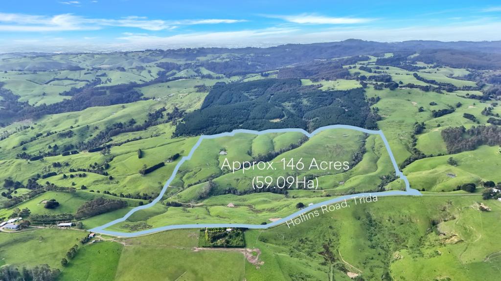 160 HOLLINS RD, TRIDA, VIC 3953