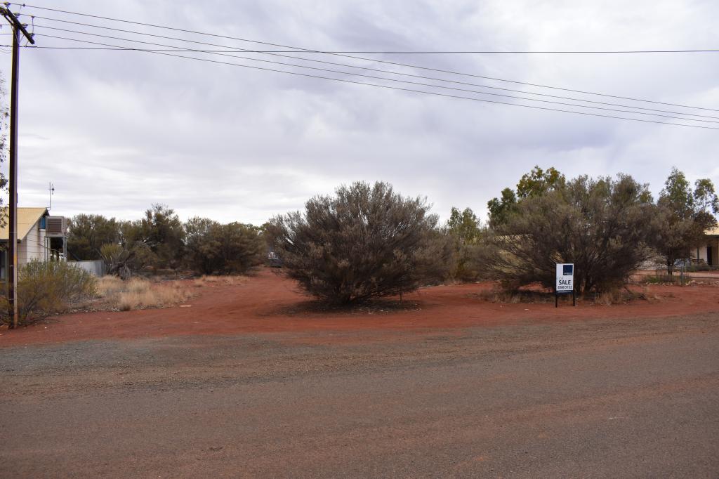 17 Curlew St, Marla, SA 5724